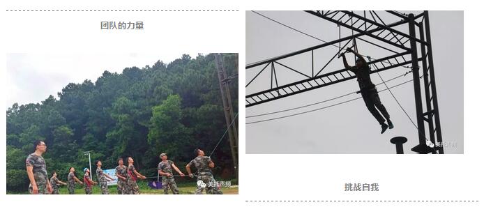 “打造卓越团队，凝聚骨干精英”，广州美托声频音响设备有限公司用行动来证实