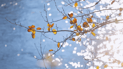 似梦之音，一路伴行-车改坊东莞店为日产途乐汽车音响升级美国霸克