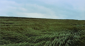 为爱而静！ 大众途昂深圳车改坊隔音工程