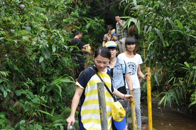 美托声频组织开展2014年中工作总结大会暨黄腾峡